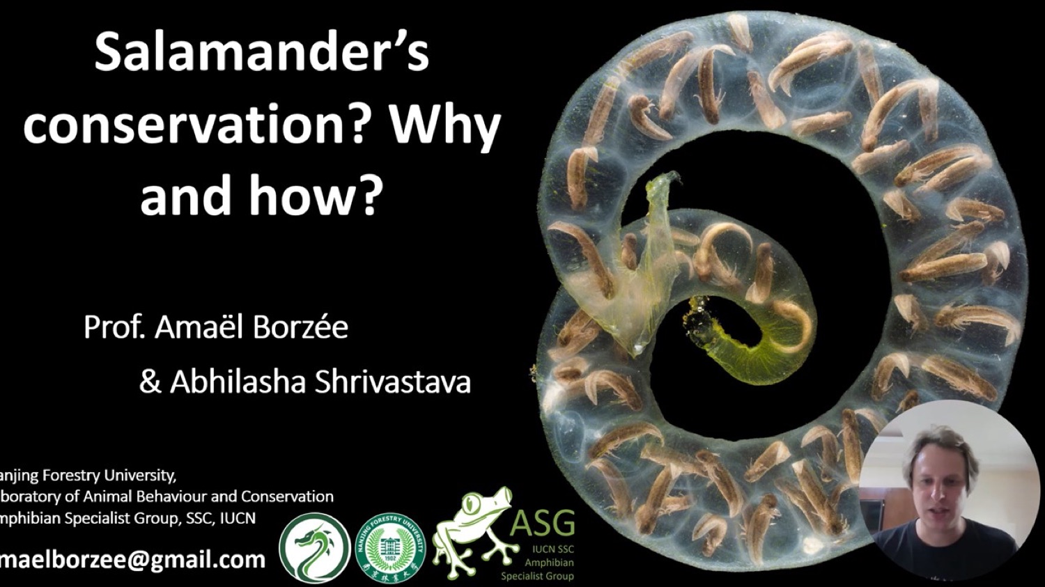 Himalayan Salamander Festival, Jorepokhri